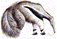 Anteaters